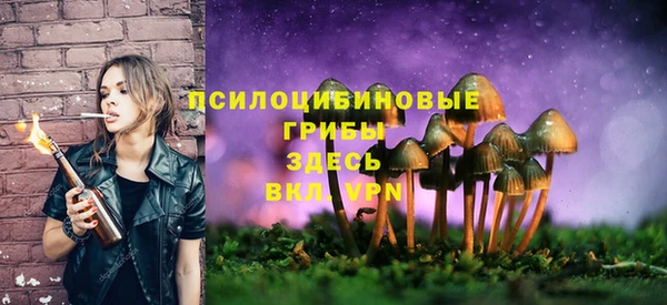 прущий лед Абдулино