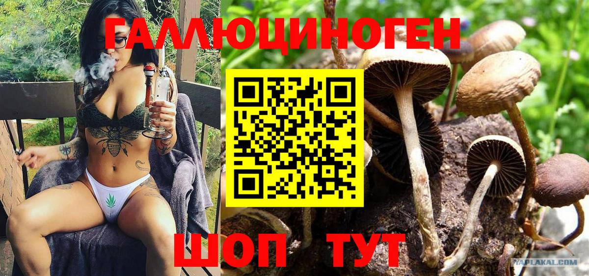 Галлюциногенные грибы Psilocybe  Вход с VPN  Саратов 