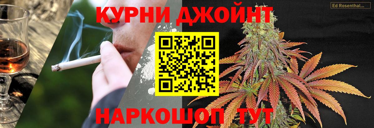 Бошки марихуана OG Kush  Шишки марихуана конопля  Бошки Шишки семена  Вход с VPN  Саратов 